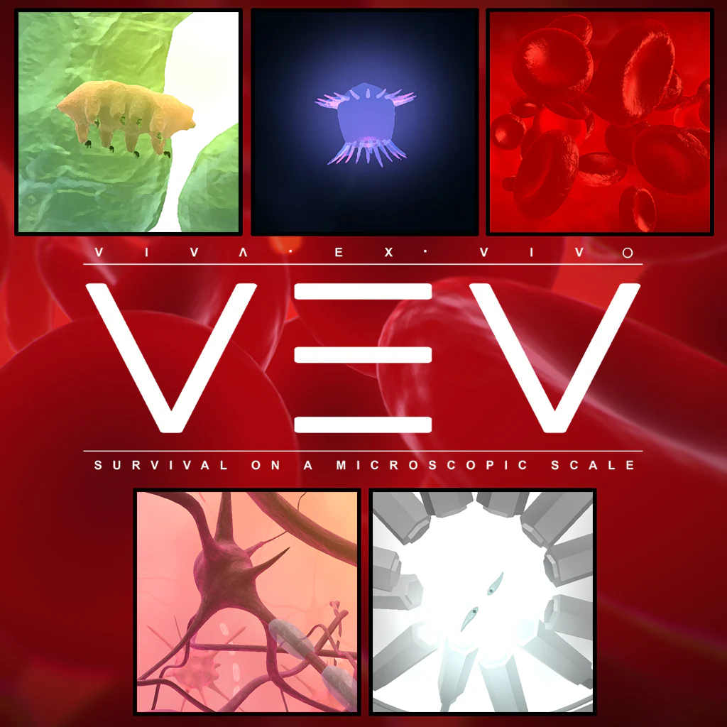 VEV: Viva Ex Vivo VR Edition