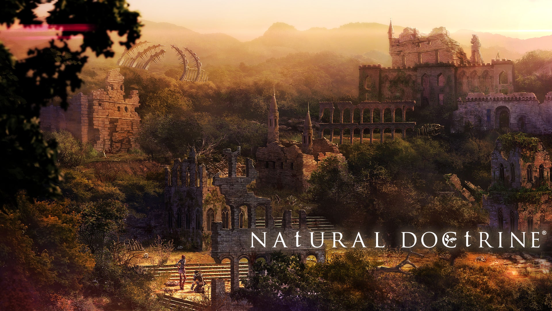 NAtURAL DOCtRINE