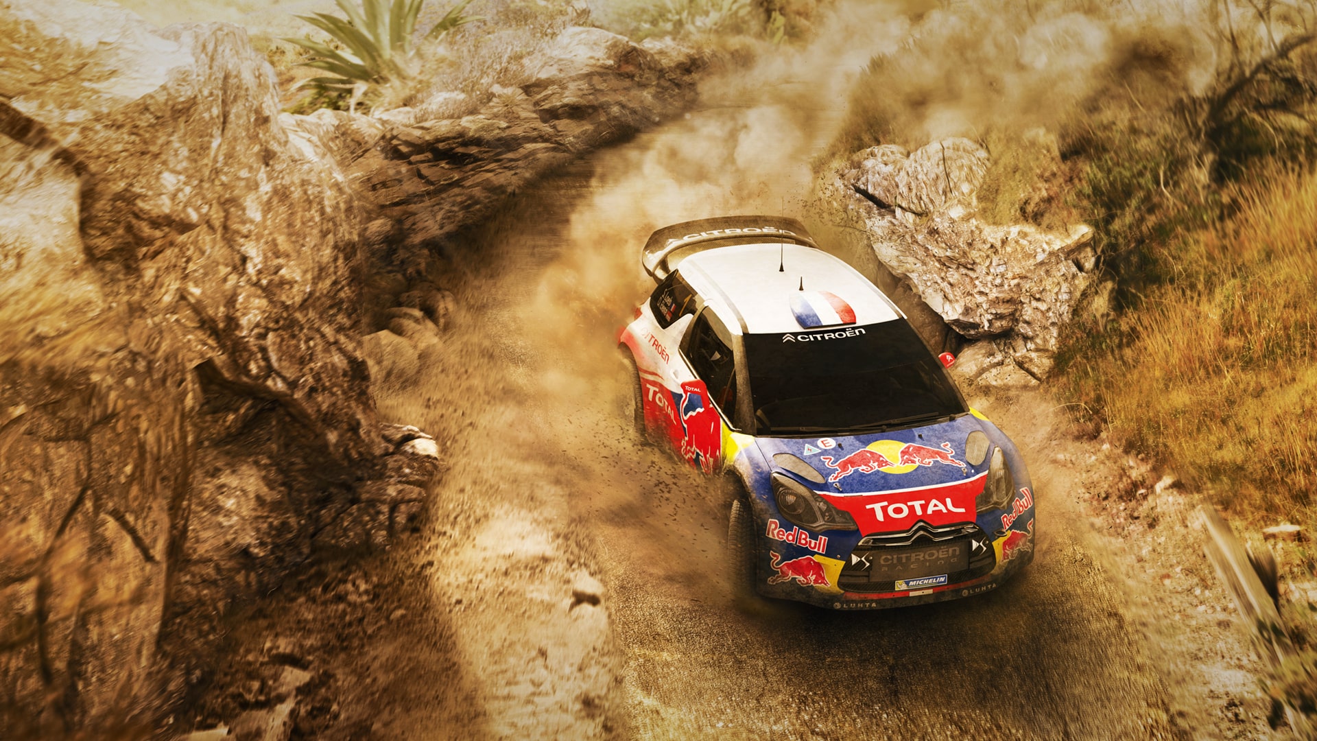 Sébastien Loeb Rally EVO