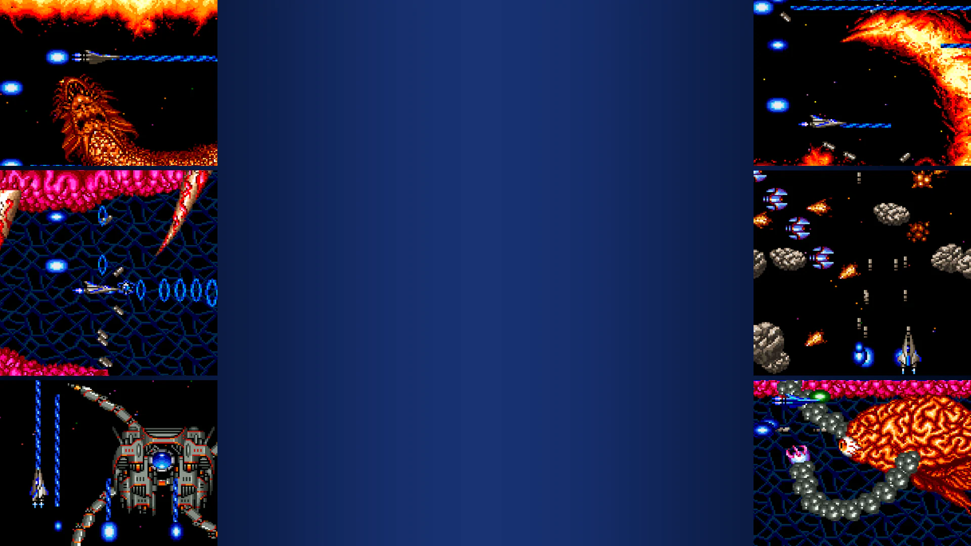 Arcade Archives SALAMANDER