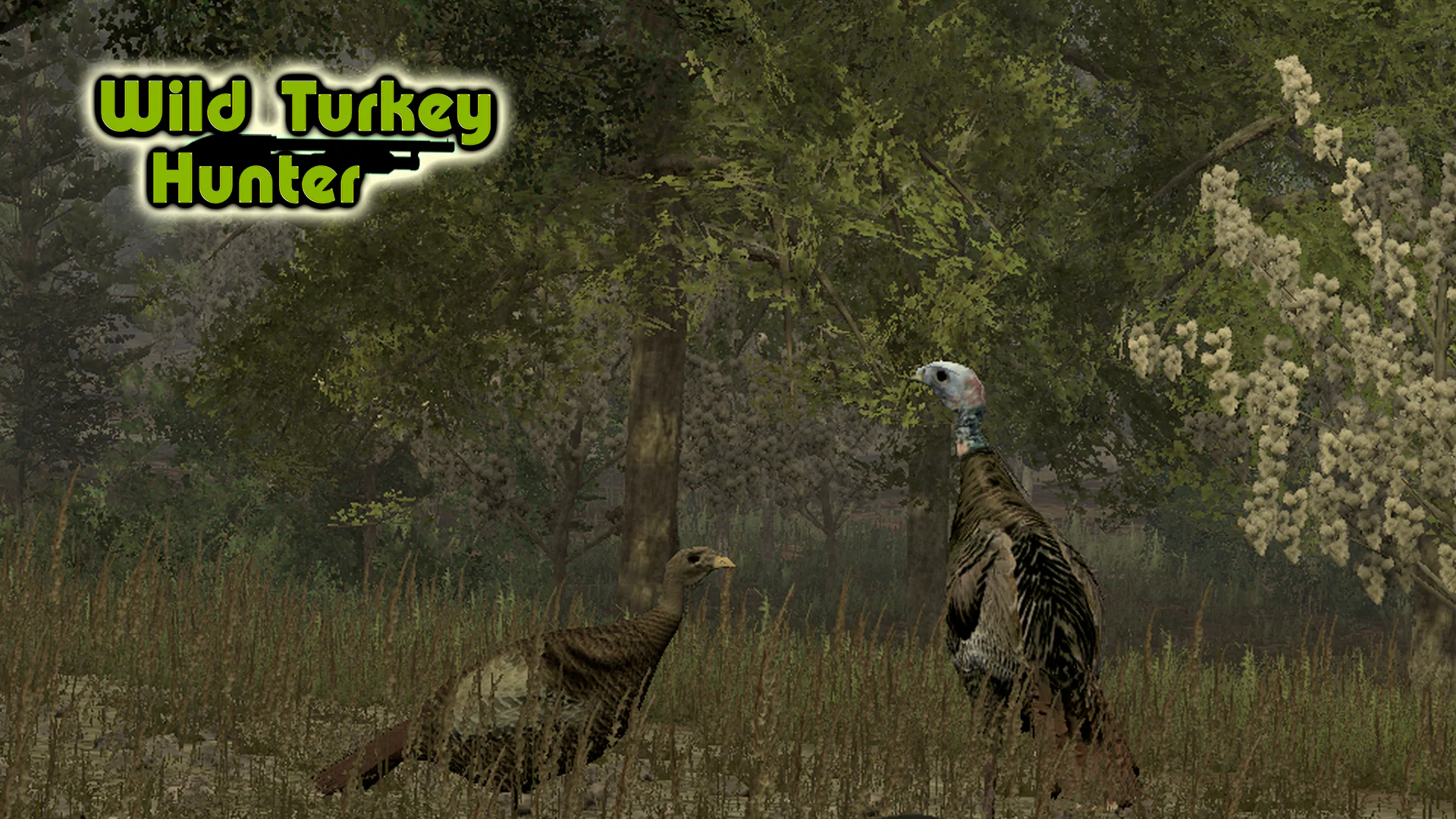 Wild Turkey Hunter