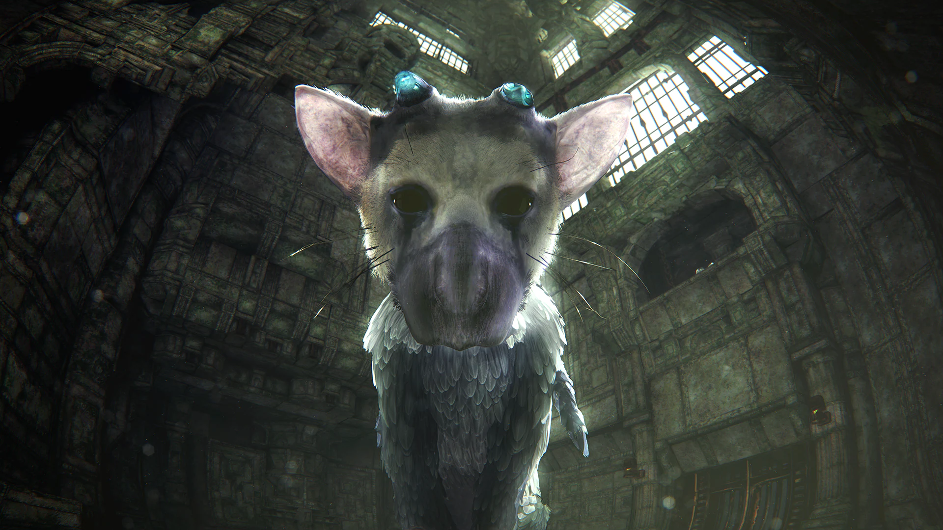 The Last Guardian™ SON MUHAFIZ VR DEMO
