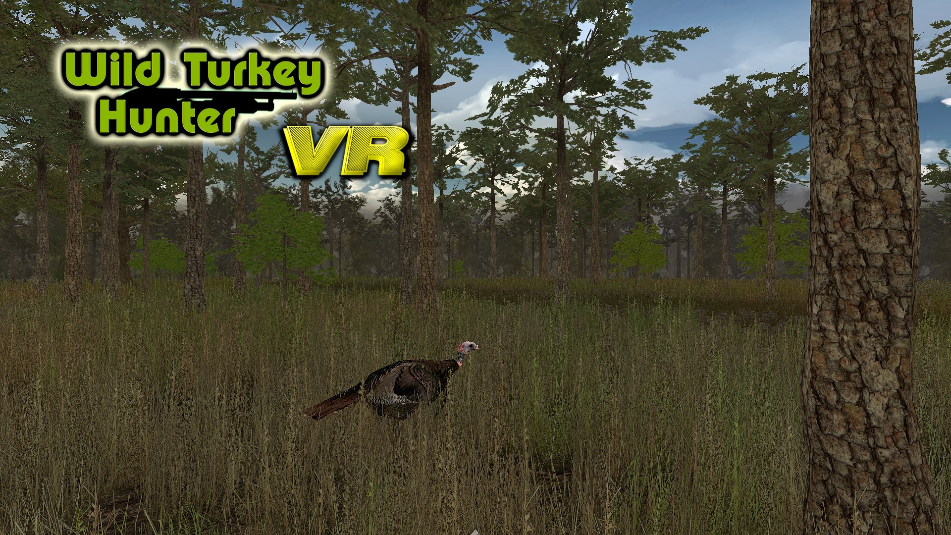 Wild Turkey Hunter VIRTUAL REALITY