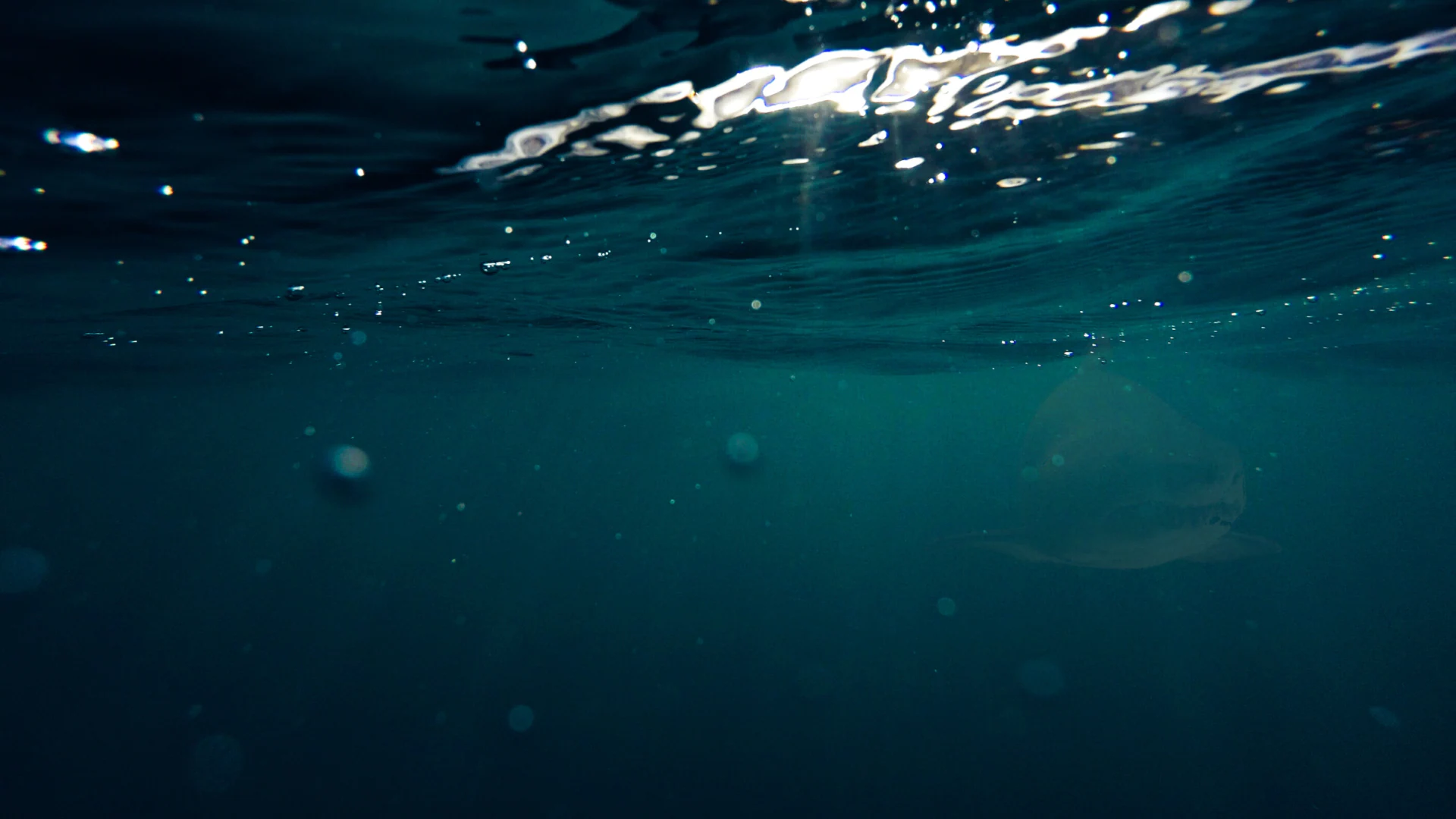 Submersed