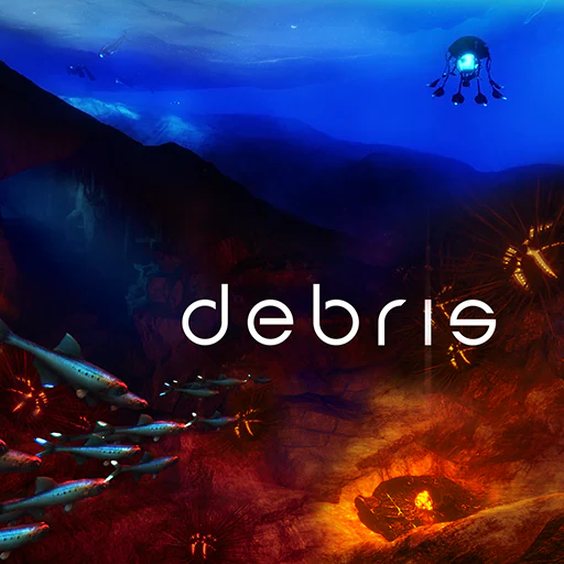 Debris