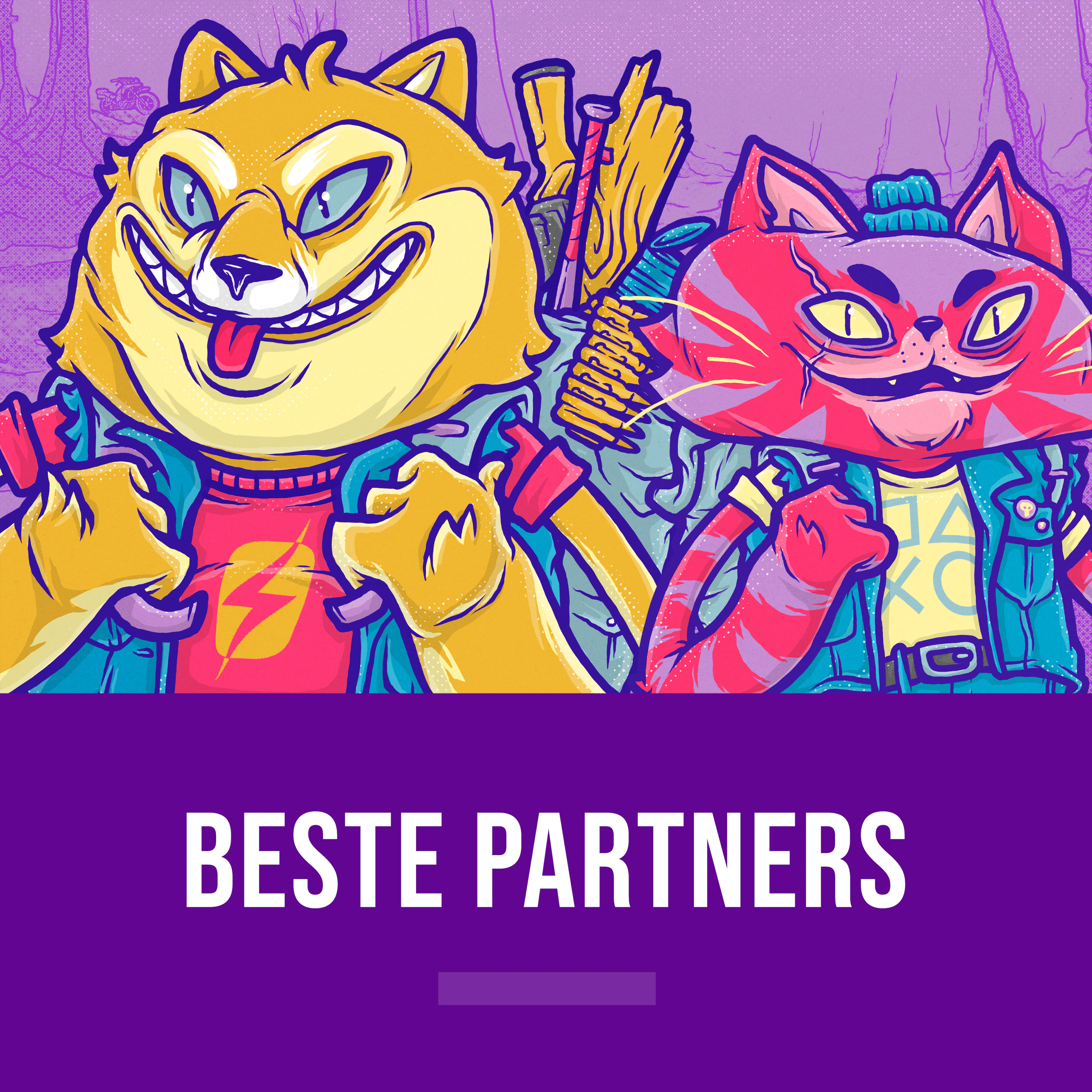 Beste partners