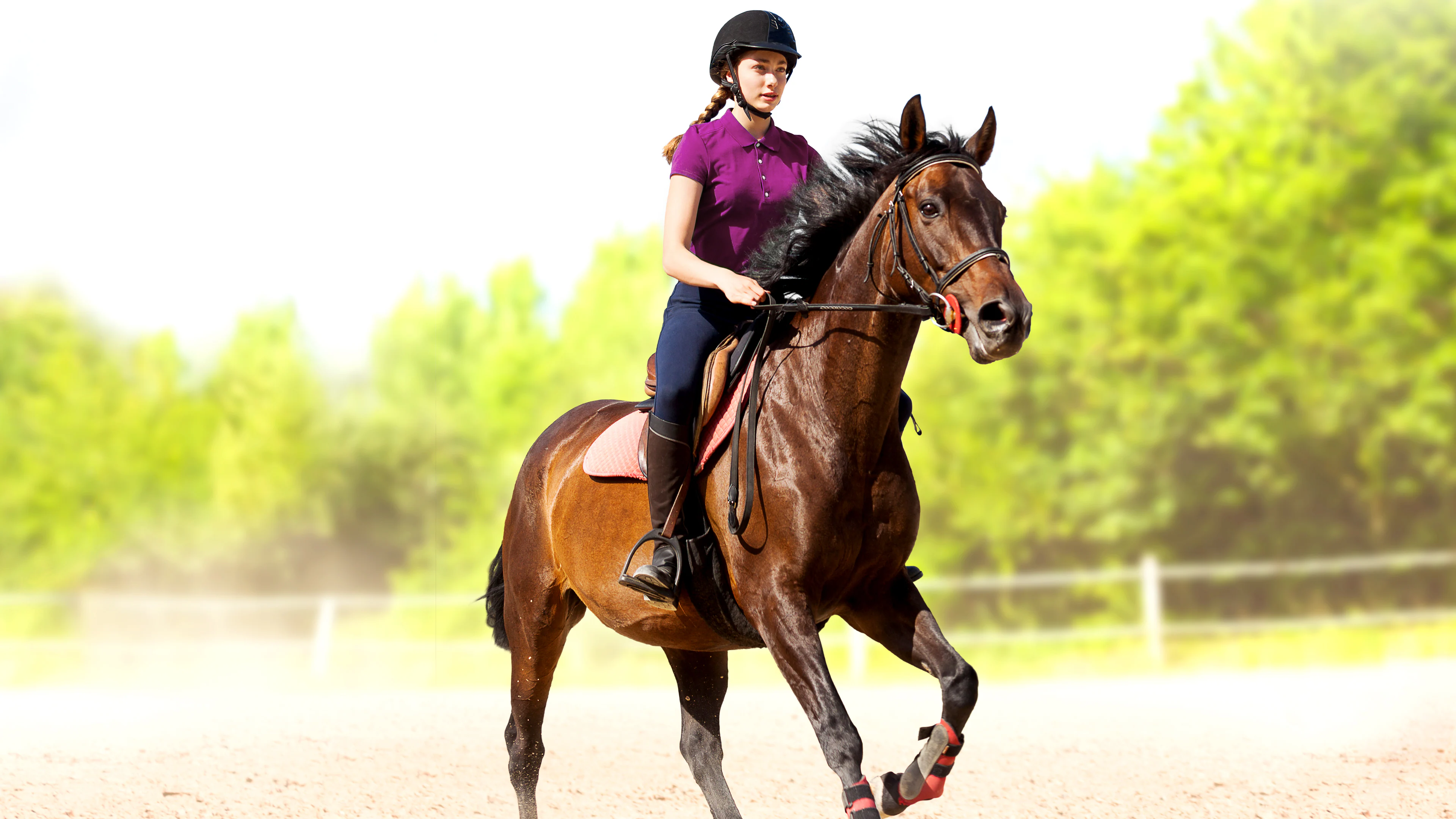 My Little Riding Champion
