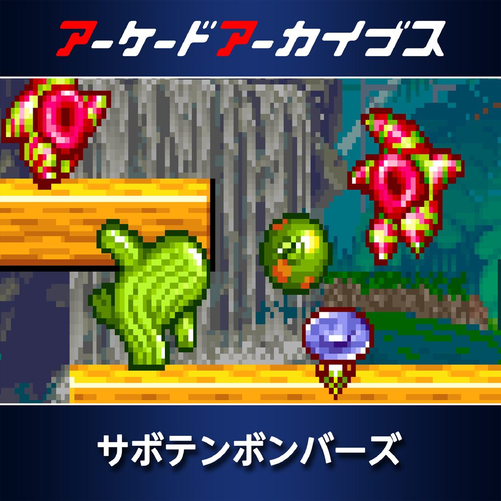 アーケードアーカイブス サボテンボンバーズ