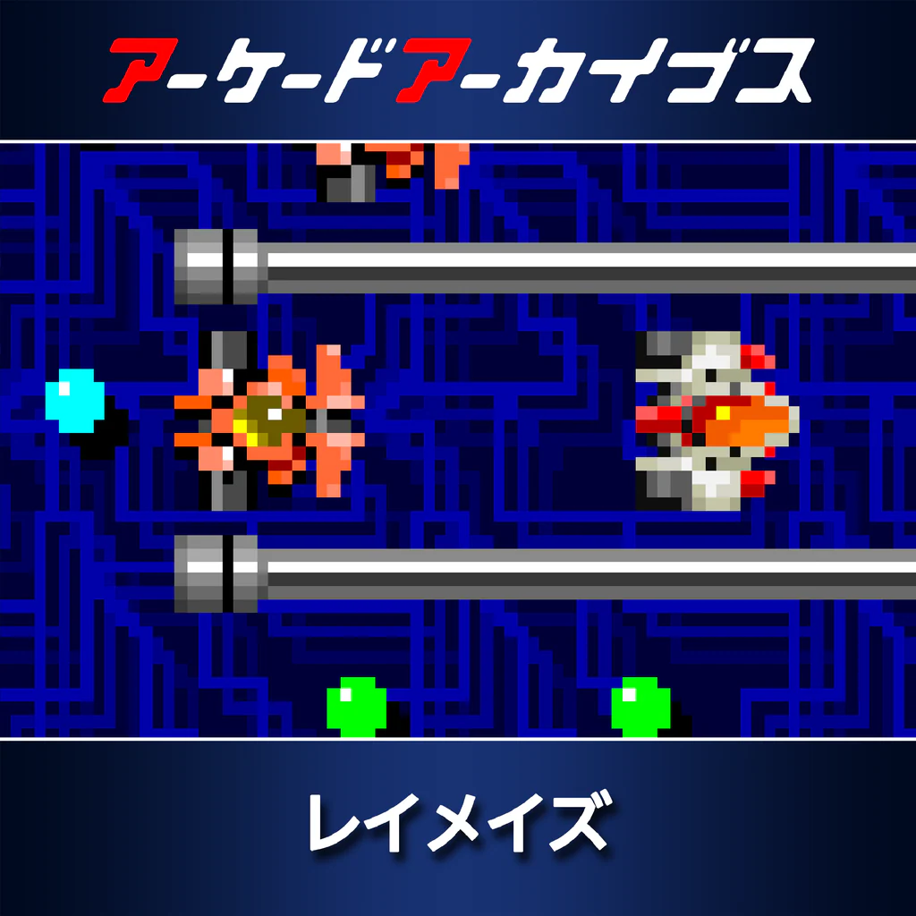 アーケードアーカイブス レイメイズ