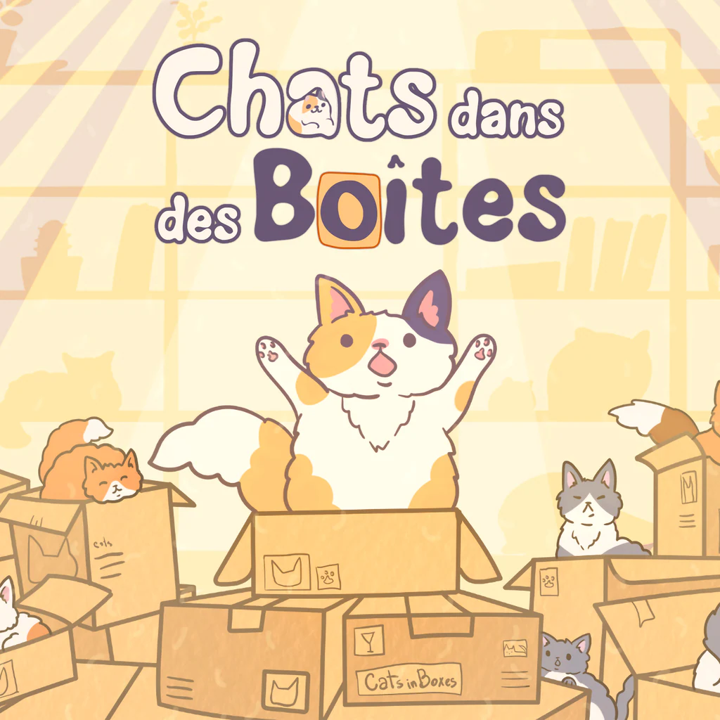 Chats dans des boîtes