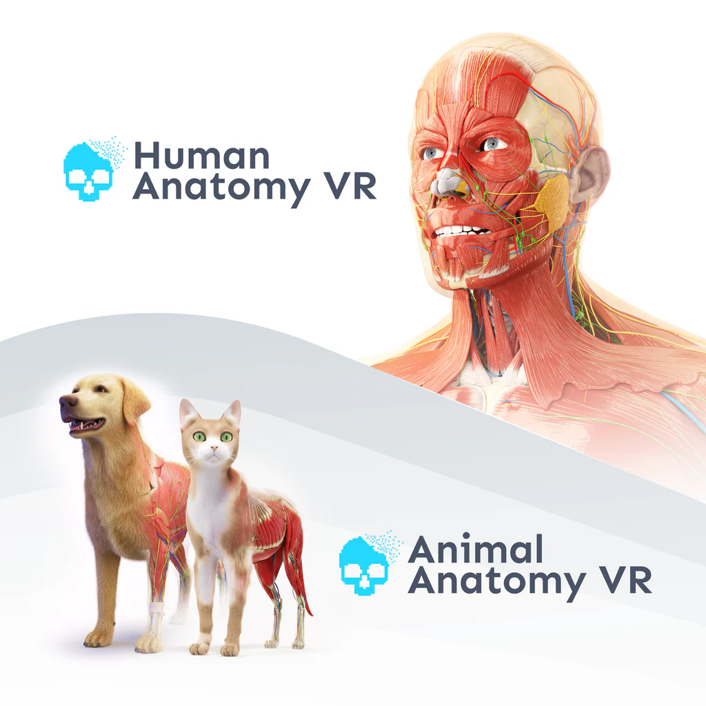 Human + Animal VR Bundle