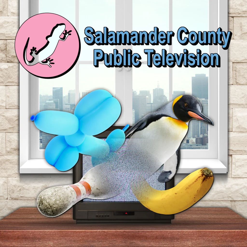 Salamander County Public Television PS4® & PS5®