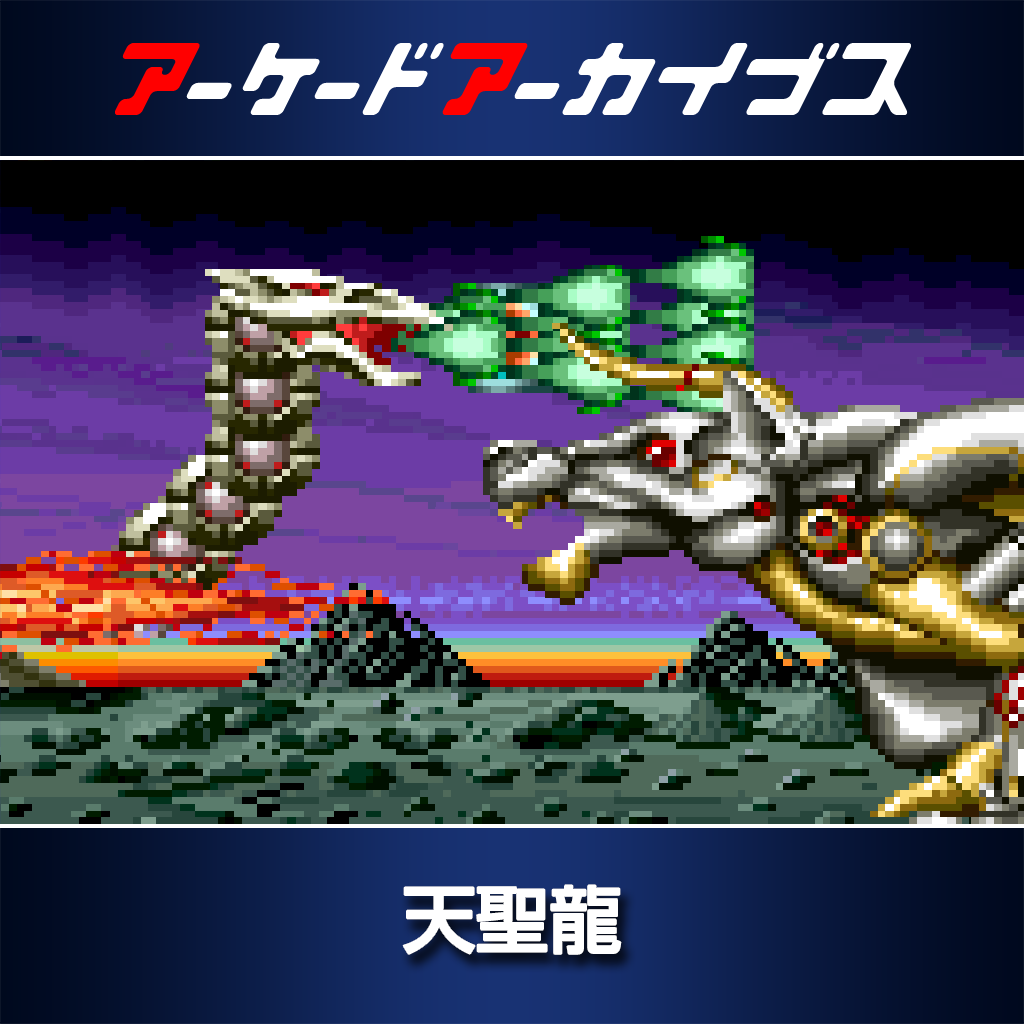 アーケードアーカイブス 天聖龍